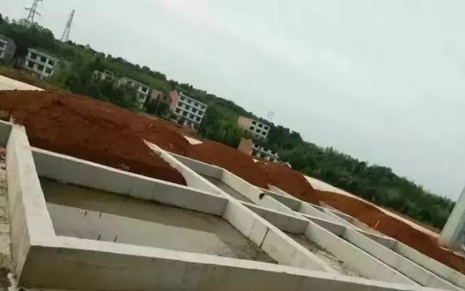 1584839830511190.jpg 1584839830511190.jpg